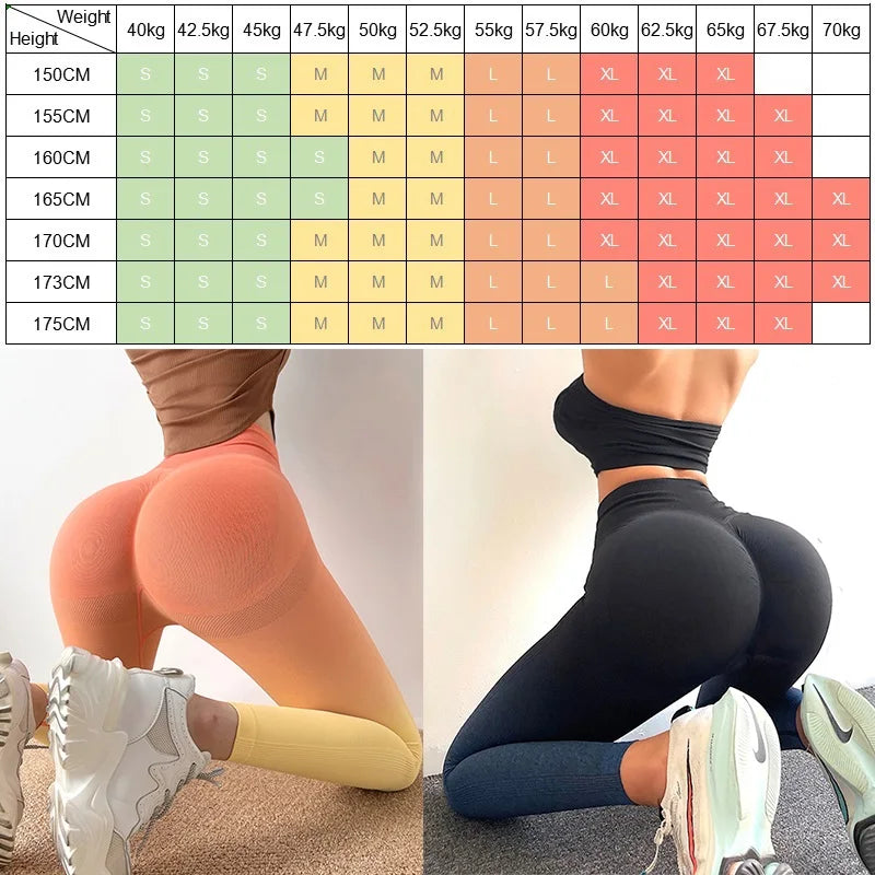 Seamless High Waist Cloud Hide Yoga Pants